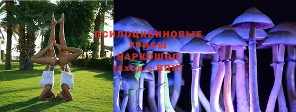 ешки Куйбышев