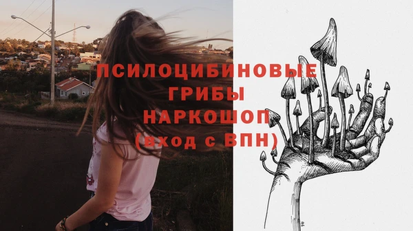 ешки Куйбышев