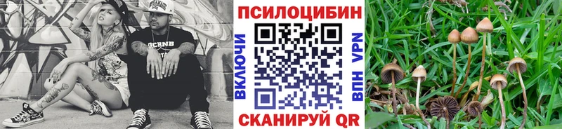 Галлюциногенные грибы ЛСД  Купить где  Отрадный 