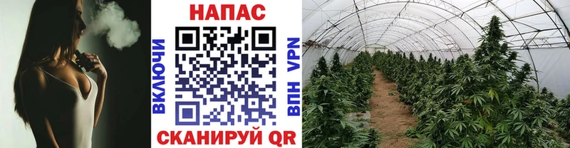 Бошки Шишки VHQ  Купить закладки  Отрадный 